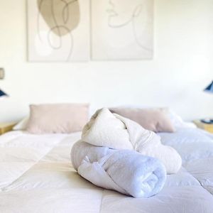 Apartamento de 1 Dormitorio